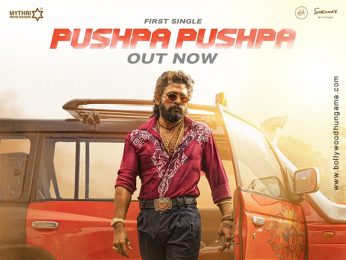 Pushpa 2 – The Rule